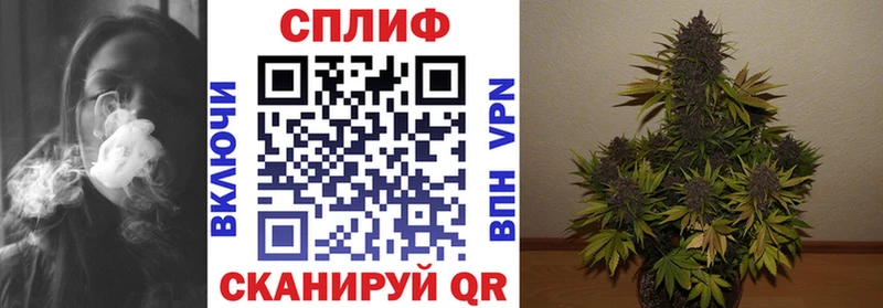 Где продают наркотики Каргат ГАШ  Мефедрон 