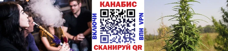 Бошки Шишки White Widow Каргат